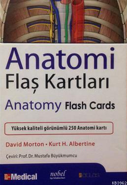 Anatomi Flaş Kartları Adam David Morton Kurt H. Albertine Adam David M