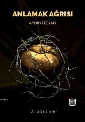 Anlamak Ağrısı Aydın Uzkan