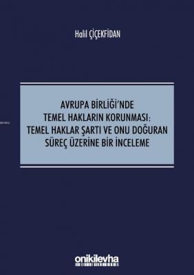 Avrupa Birliği'nde Temel Hakların Korunması:Temel Haklar Şartı ve Onu 