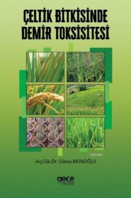 Çeltik Bitkisinde Demir Toksisitesi Güney Akınoğlu