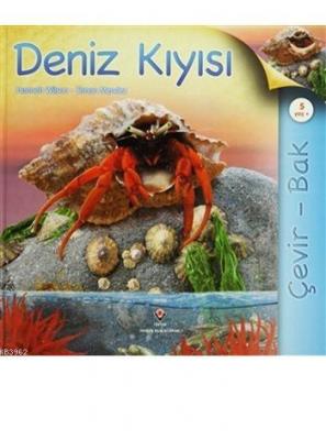 Çevir Bak - Deniz Kıyısı (Ciltli) Hannah Wilson