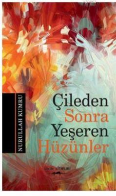 Çileden Sonra Yeşeren Hüzünler Nurullah Kumru