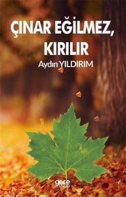 Çınar Eğilmez, Kırılır Aydın Yıldırım