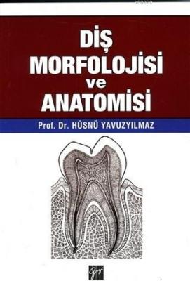 Diş Morfolojisi ve Anatomisi Hüsnü Yavuzyılmaz