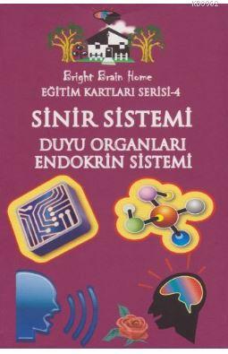 Eğitim Kartları Serisi 4 Sinir Sistemi Duyu Organları Endokrin Sistemi