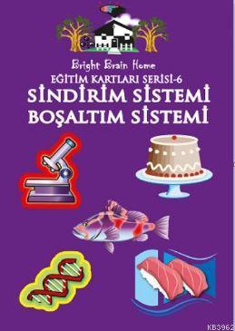 Eğitim Kartları Serisi 6 Sindirim Sistemi Boşaltım Sistemi Kolektif