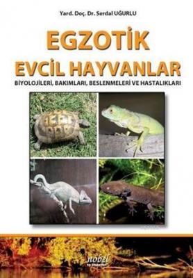 Egzotik Evcil Hayvanlar Biyolojileri, Bakımları, Beslenmeleri ve Hasta