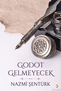 Godot Gelmeyecek Nazmi Şentürk