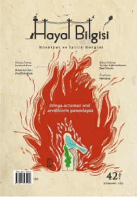 Hayal Bilgisi Dergisi - Sayı: Yıl: 11 Sayı: 42 Kolektif