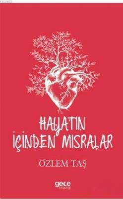 Hayatın İçinden Mısralar Özlem Taştan