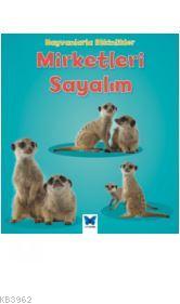 Hayvanlarla Etkinlikler - Mirketleri Sayalım Tracey Steffora