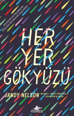 Her Yer Gökyüzü Jandy Nelson