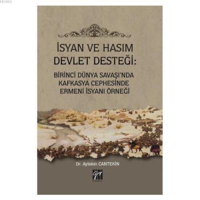 İsyan ve Hasım Devlet Desteği: Birinci Dünya Savaşı'nda Kafkasya Cephe