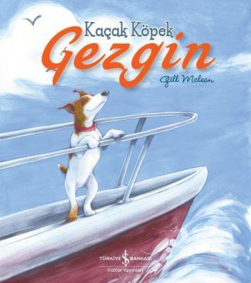 Kaçak Köpek Gezgin Gill Mclean