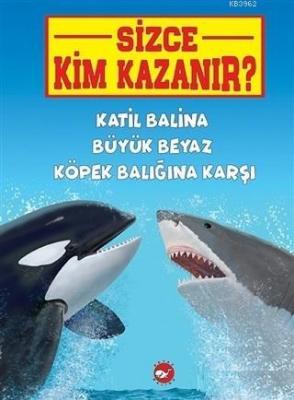 Katil Balina Büyük Beyaz Köpek Balığına Karşı - Sizce Kim Kazanır? Jer