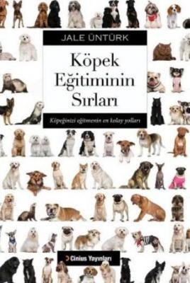 Köpek Eğitiminin Sırları Jale Üntürk