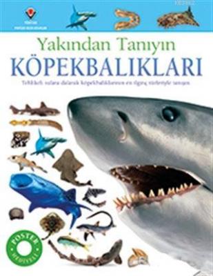 Köpekbalıkları - Yakından Tanıyın Miranda McQuitty