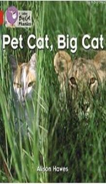 Pet Cat, Big Cat (Big Cat Phonics-2A Red) Alison Hawes