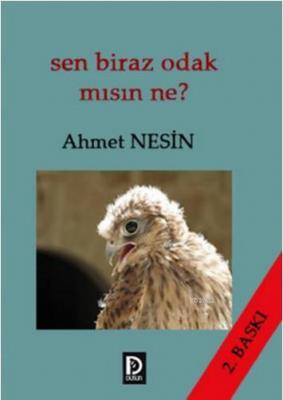 Sen Biraz Odak mısın Ne? Ahmet Nesin