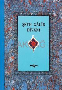 Şeyh Galib Divanı 1.hmr Ciltli Muhsin Kalkışım