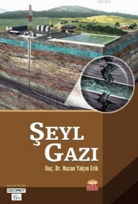 Şeyl Gazı Nazan Yalçın Erik