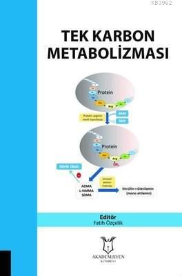 Tek Karbon Metobolizması Fatih Özçelik