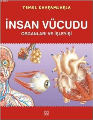 Temel Kavramlarla İnsan Vücudu Orpheus Books